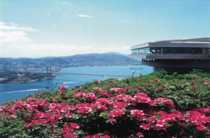 火の山公園／つつじ