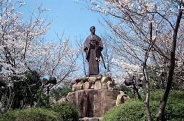 日和山公園／さくら