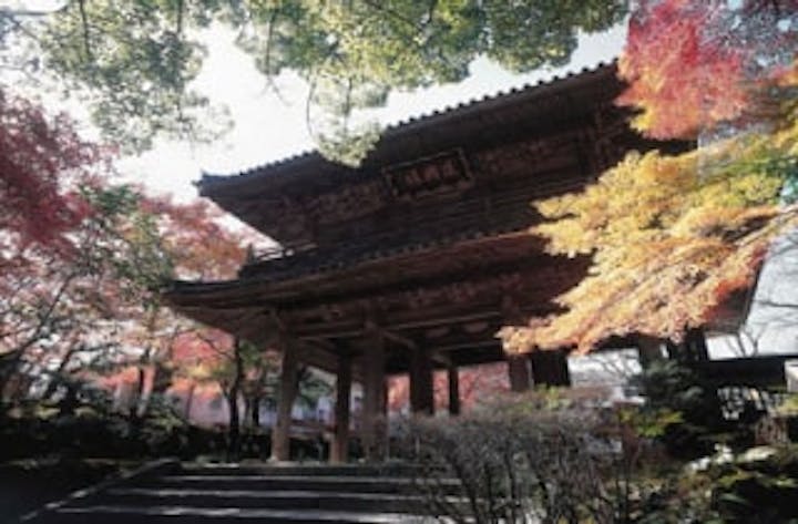 功山寺／もみじ