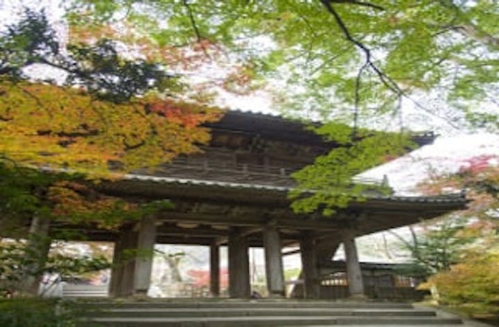 功山寺 もみじ アソビュー