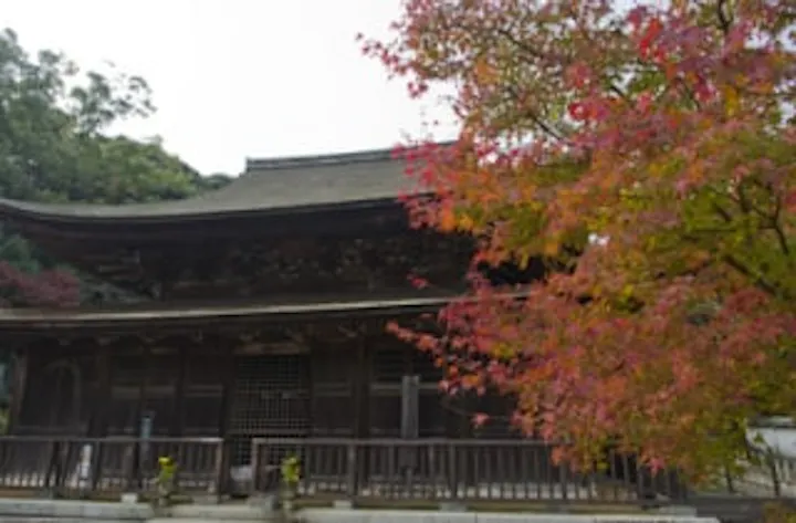 功山寺 もみじ アソビュー