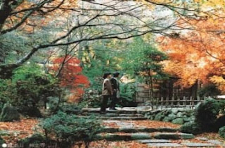 華山（神上寺）／かえで