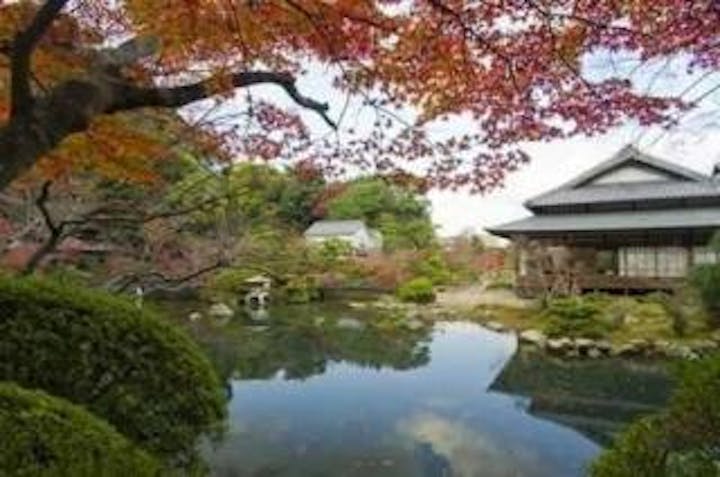 長府庭園／もみじ