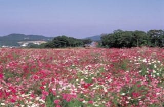 スポットの写真