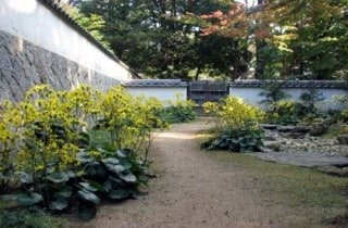 スポットの写真