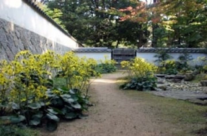 長府毛利邸／つわぶき／アセビ