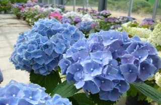 スポットの写真