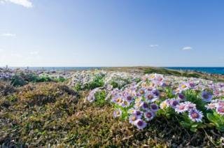 スポットの写真