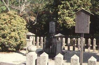 スポットの写真