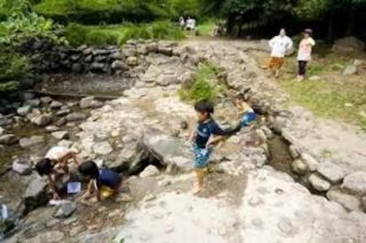 深坂自然の森キャンプ場