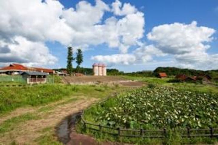豊田農業公園みのりの丘