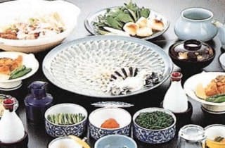 スポットの写真