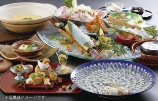 スポットの写真