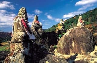 スポットの写真