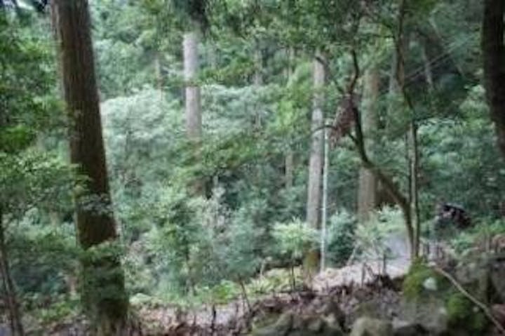 狗留孫山ハイキングコース