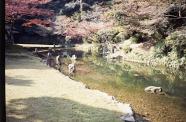 宗隣寺／もみじ