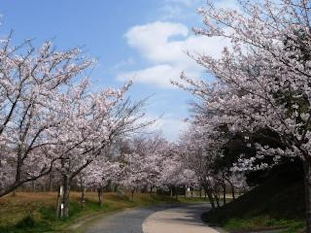 ときわ公園・常盤湖周遊園路