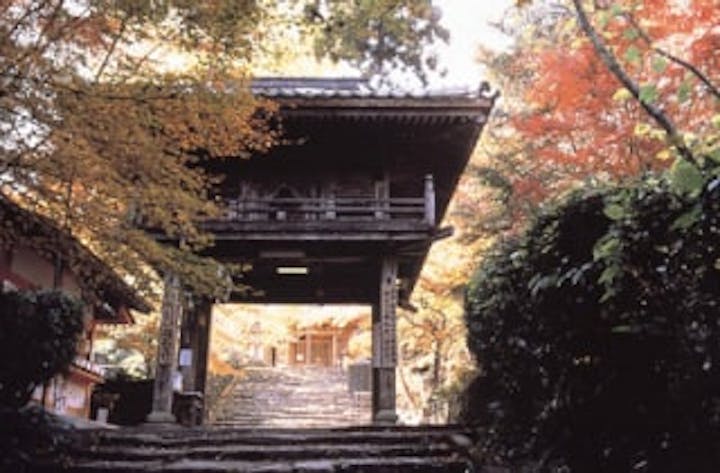 龍蔵寺／もみじ・イチョウ