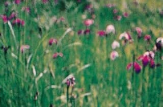 スポットの写真