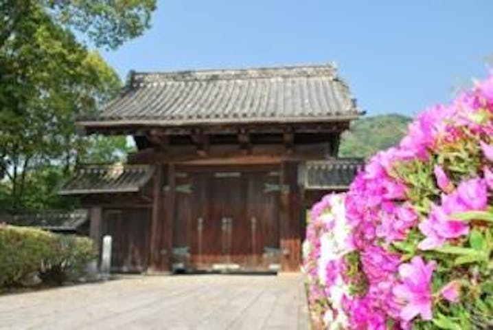 県庁濠端／つつじ