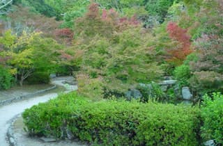 スポットの写真