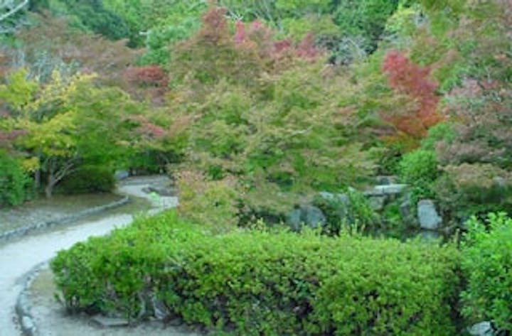 木戸公園／もみじ