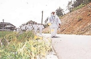 スポットの写真