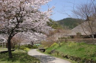 スポットの写真