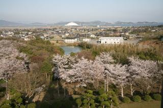 スポットの写真