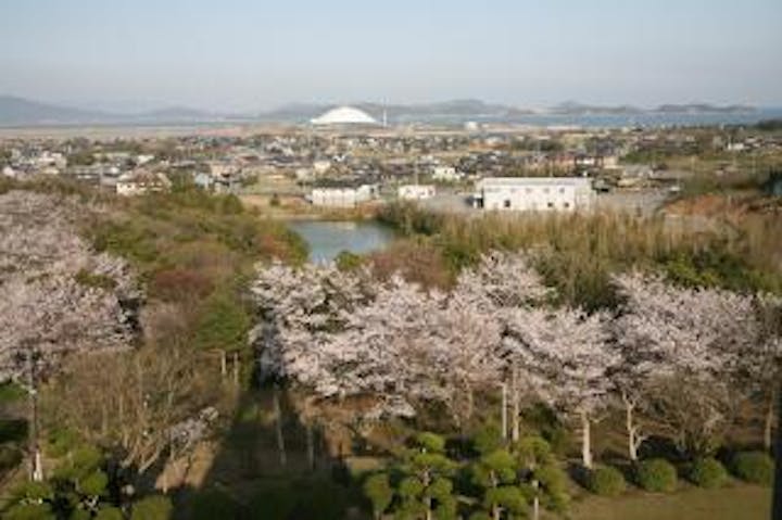 岡山霊廟塔周辺／さくら