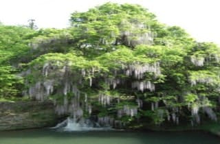 スポットの写真