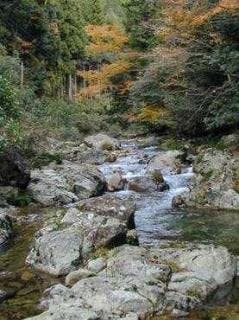 スポットの写真