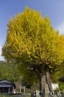 スポットの写真