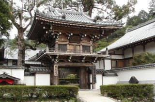 スポットの写真