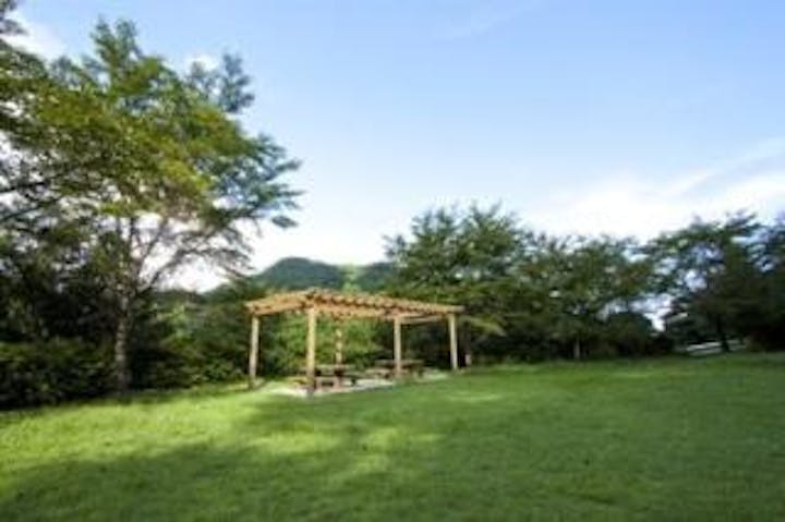 おとどいやま森林公園