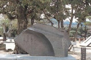 スポットの写真