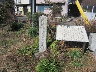 スポットの写真