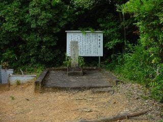 スポットの写真