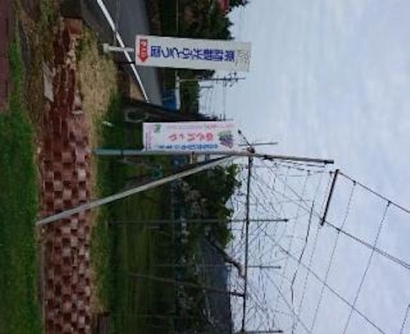 栗林観光ぶどう園／ぶどう