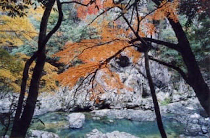 長門峡／もみじ