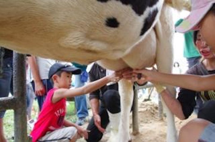 船方農場／乳搾り・シャーベット作り体験