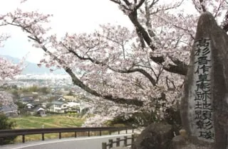 スポットの写真