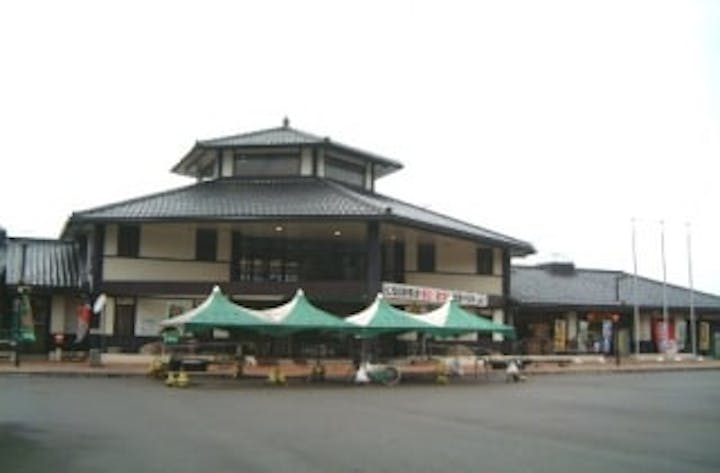 道の駅「ゆとりパークたまがわ」／つつじ