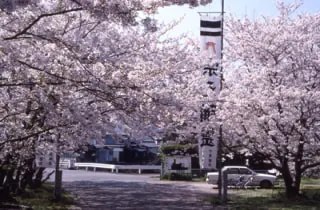 スポットの写真
