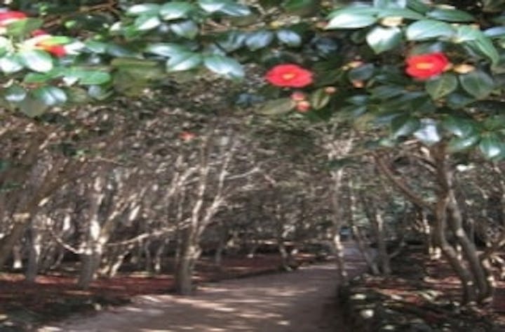 笠山自然遊歩道