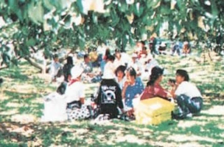 平山台観光農園／なし