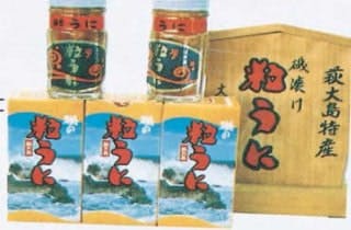 スポットの写真