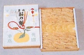 スポットの写真