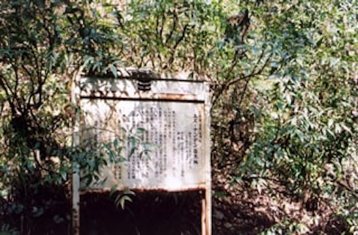 川上のユズおよびナンテン自生地