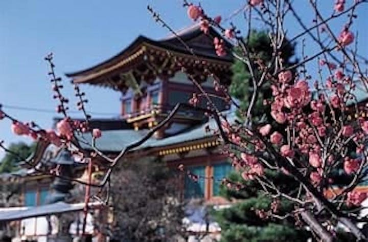 防府天満宮／うめ